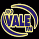 Rádio Vale 99.9 FM logo