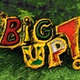 BigUpReggaeRadio logo