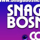 Logo de Radio Snaga Bosne
