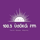 Logo de 100.3 Udoka FM
