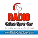 Logo de Radio Calea Spre Cer - pentru copii