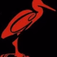 The Rocket logo