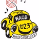 Logo de 102.3 The Bug - WAUH
