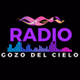 Radio Gozo Del Cielo logo
