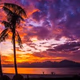 Logo de Smooth Jazz Sunset