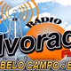 Logo de Rádio Alvorada FM