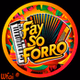 Fay Só Forró logo
