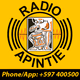 Logo de Apintie Radio