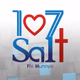 Logo de Salt FM