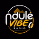 Logo de Ndulé vibe