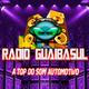 Web Rádio Guaibasul logo