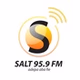 Salt 95.9 FM logo