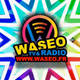 Logo de WASEO RADIO TV