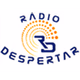 Rádio Despertar 91.0 FM logo