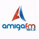 Amiga FM logo