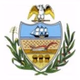 Allegany County Fire logo