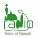 Logo de The Voice of Ummah