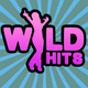 Logo de Wild Hits