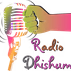 Radio Dhishum logo