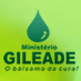 Rádio Web Ministério Gileade logo