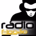 Radio Flogao logo