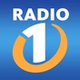 Radio 1 - Ribnica 89.8 logo