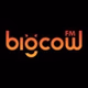 大牛FM logo