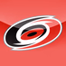 Logo de Carolina Hurricanes Play by Play