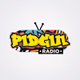 Logo de Pidgin Radio