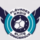 Logo de Pleyades Radio