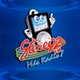 Radio Stereo 92 FM logo