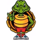 Savvy Turtle Rocks logo