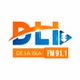 FM de la ISLA 91.1 MHz logo