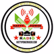 Logo de Natty Power Radio