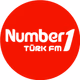 Logo de Number1 FM - Number1 Türk Damar