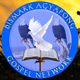 Logo de Bismark Agyapong Radio