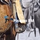 Piseiro FM logo