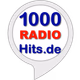 Logo de 1000 Webradios - 1000 Radio Hits