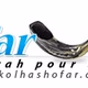 Logo de Radio Showfar