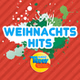 Radio Teddy - Weihnachts-Hits logo