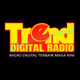 Logo de Trend Digital Radio