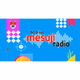 Radio Suara Mesuji logo