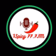 Logo de 1SPICYFM