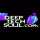 Deep Tech Soul Radio logo