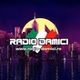 Radio Damici logo