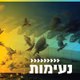 Logo de קול חי מיוזיק - ישראלי אלטרנטיבי