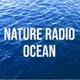 Radio Suite Network - Nature Radio Ocean logo