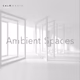 Logo de Calm Radio - Ambient I Spaces