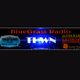 Logo de Tar Heel World Network - BlueGrass