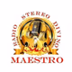 Radio Stereo Divino Maestro logo